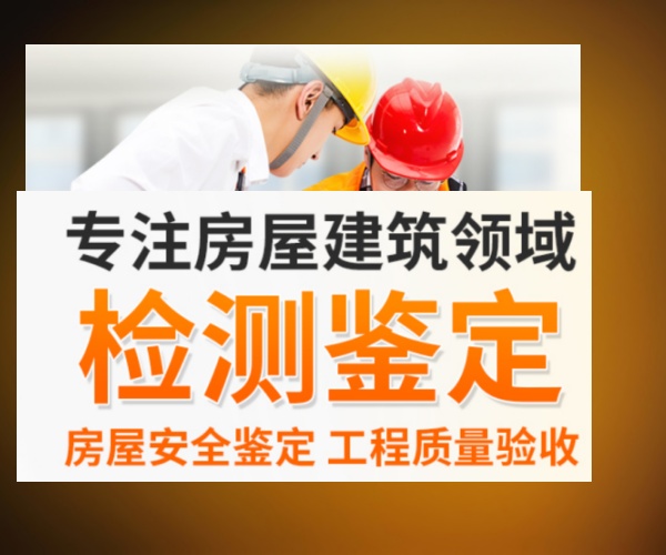 文章插图